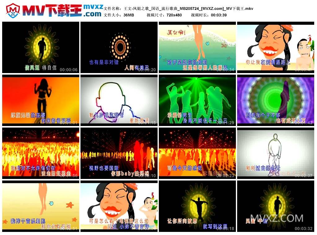 王文-凤姐之歌_国语_流行歌曲_MB205724